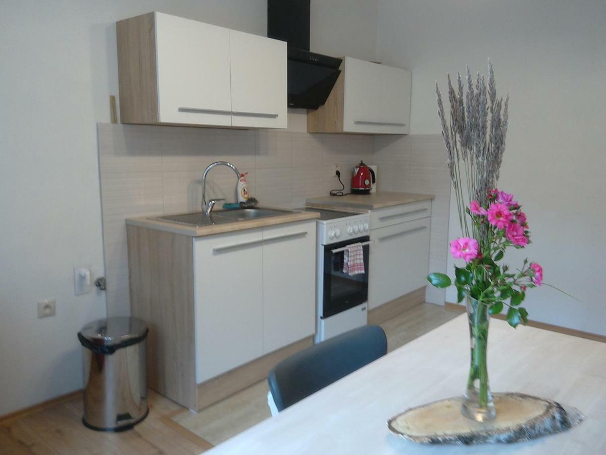 Апартаменти Apartman S Vyhladom Кремниця Екстер'єр фото